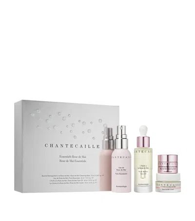 Chantecaille Rose De Mai Essentials Gift Set