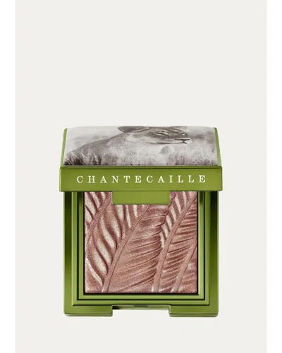 Chantecaille Selenkay Eye Shade Eyeshadow In Multi