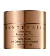 Chantecaille Sheer Glow Bronze Face Tint