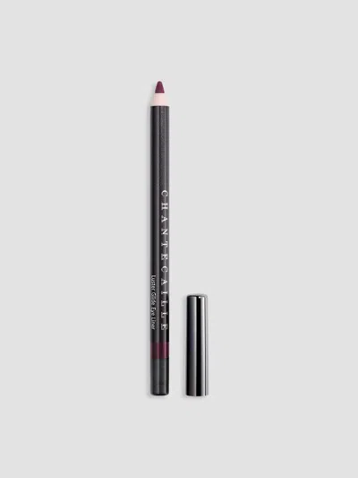 Chantecaille Women's Luster Glide Silk Infused Eye Liner In Amethyst