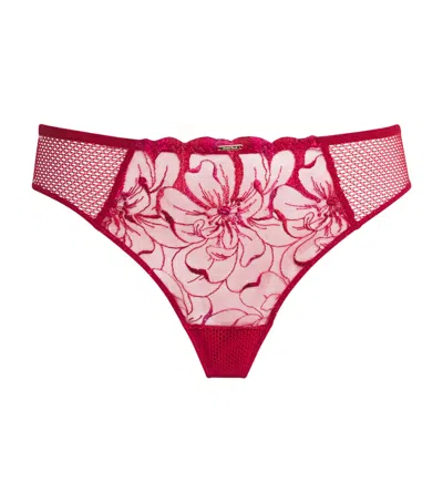Chantelle Embroidered Fleurs Tanga In Burgundy