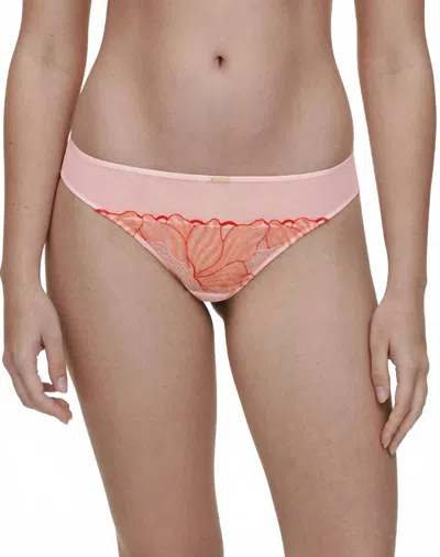 Chantelle Legend Lace Thong In Nymphea Pink / Coral