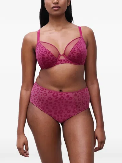 Chantelle Leopard-print Mesh-panel Bra In Pink