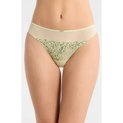 Chantelle Lingerie Legend Embroidered Tulle Thong In Green