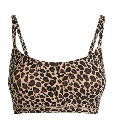 Chantelle Softstretch Padded Bralette In Brown