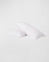 Charisma Luxe Down Firm Standard Pillow In White