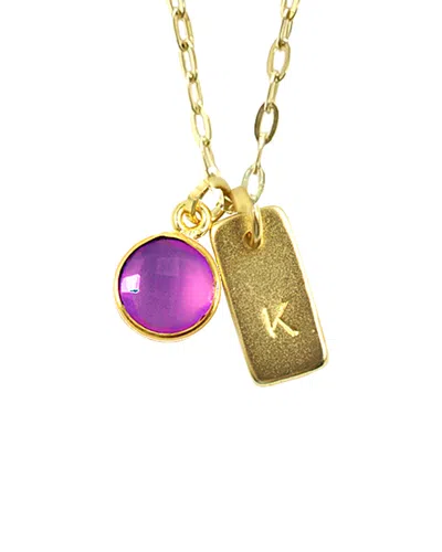 Charlene K 14k Plated Amethyst February Birthstone Initial Necklace In Gold