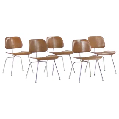 Pre-owned Charles And Ray Eames 1948 Eames Evans For Herman Miller Dcm Dining Chairs Metal & Walnut Set Of Five In Brown