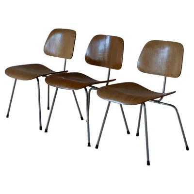 Pre-owned Charles And Ray Eames 1950s  Dcm Dining Chairs By Herman Miller, Usa In Brown