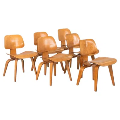 Pre-owned Charles And Ray Eames 1951 Set Of Six Evans Herman Miller Eames Dcw Dining Chairs In Birch In Brown