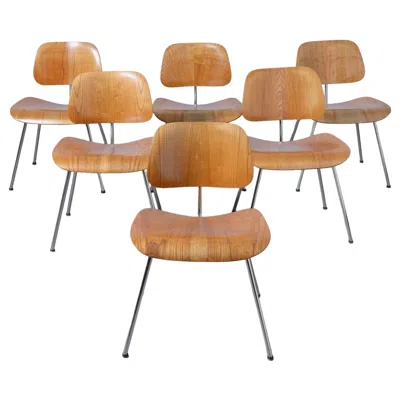 Pre-owned Charles And Ray Eames First Generation Charles & Ray Eames For Herman Miller Dcm Dining Chairs In Ash In Brown
