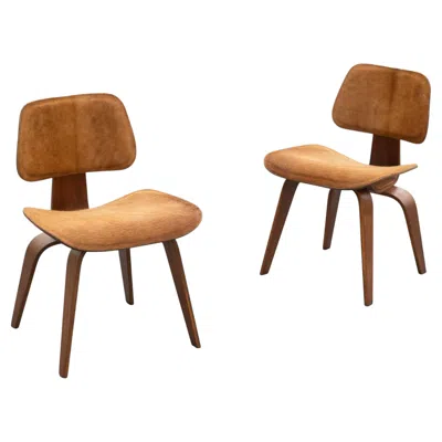 Pre-owned Charles And Ray Eames Pair Charles & Ray Eames For Evans Dcw Dining Chairs In Walnut & Cowhide C. 1946 In Brown