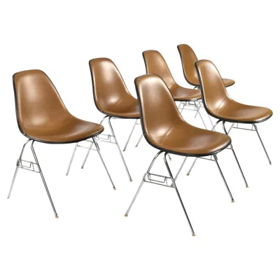 Pre-owned Charles And Ray Eames Set Of 6 Eames Fiberglass Shell Chairs By Herman Miller, Usa In Brown