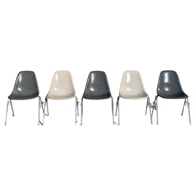 Pre-owned Charles And Ray Eames Set Of Eames For Herman Miller Fiberglass Shell Dss Chairs In Gray