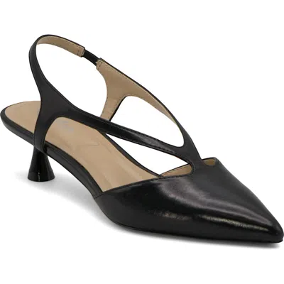 Charles By Charles David Addi Pointed Toe Kitten Heel Pump In Black