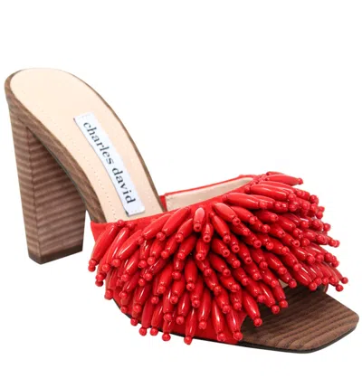 CHARLES DAVID HOTTIE