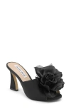 Charles David Kimberly Peep Toe Slide Sandal In Black