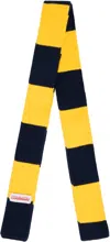 Charles Jeffrey Loverboy Yellow & Navy Skinny Scarf In Yellow + Navy Stripe