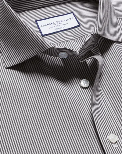 Charles Tyrwhitt Men's  Cutaway Collar Non-iron Poplin Bengal Stripe Shirt In Black