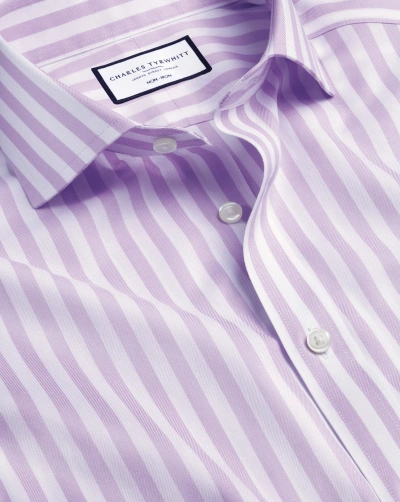 Charles Tyrwhitt Men's  Cutaway Collar Non-iron Twill Wide Stripe Dress Shirt In Purple