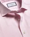 Charles Tyrwhitt Men's  Non-iron Poplin Bengal Stripe Shirt
