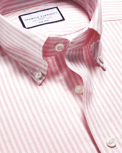 Charles Tyrwhitt Men's  Non-iron Stretch Oxford Stripe Dress Shirt In Pink