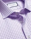 Charles Tyrwhitt Men's  Non-iron Twill Gingham Dress Shirt In Purple