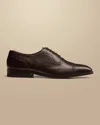 Charles Tyrwhitt Men's  Oxford Brogue Shoe In Brown