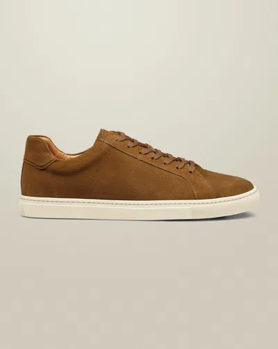 Charles Tyrwhitt Men's  Suede Trainers In Brown