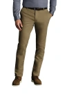 Charles Tyrwhitt Ultimate Non-iron Cotton Chino Pants In Green