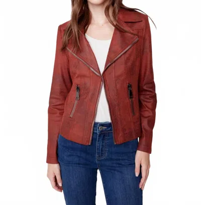 Charlie B Moto Jacket In Cinnamon In Brown