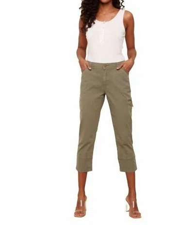Charlie B Pull-on Cropped Capri Pants In Celadon In Pink