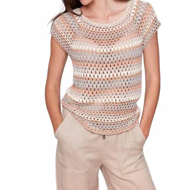 Charlie B Raglan Crochet Cap Sleeve Top In Pebble In Brown