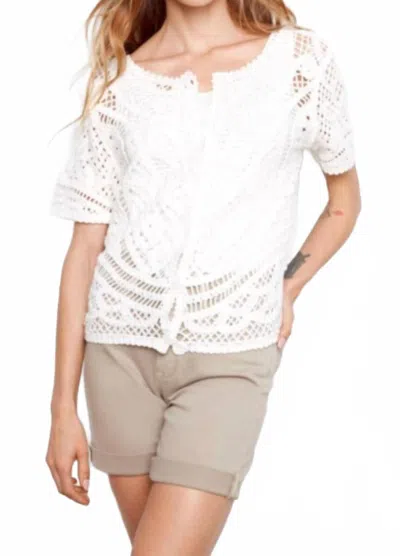 Charlie B Short Sleeve Crochet Sweater Top In White