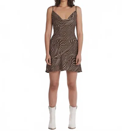 Charlie Holiday Lola Zebra Dress -petite In Brown