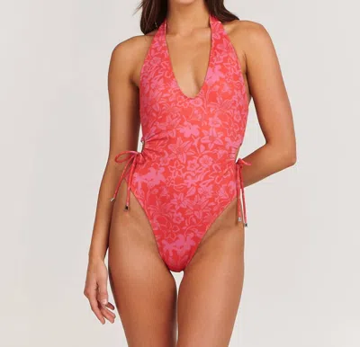Charlie Holiday Suzy One Piece In Tropical Floral In Multi