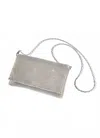 Charlie Paige Women's Clutch Bag In Silver In Transparent