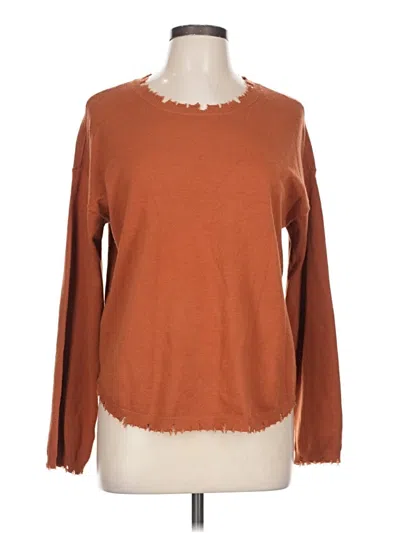 Pre-owned Charlie Pullover Sweater In Brown