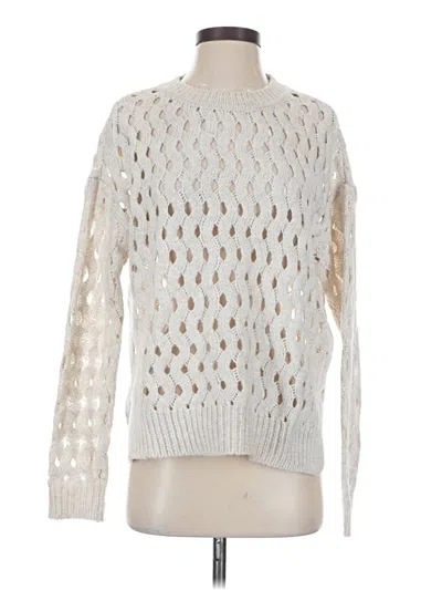 Pre-owned Charlie Pullover Sweater In Silver