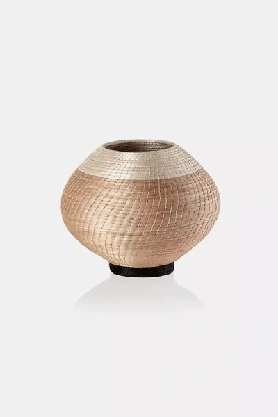 Charlie Sprout Colorblock Halo Vase In Gold