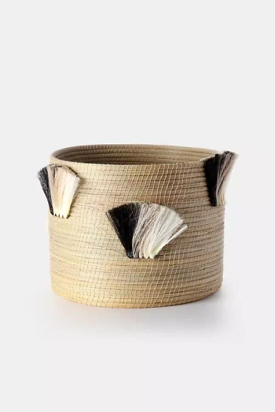 Charlie Sprout Fanned Out Large Planter In Black