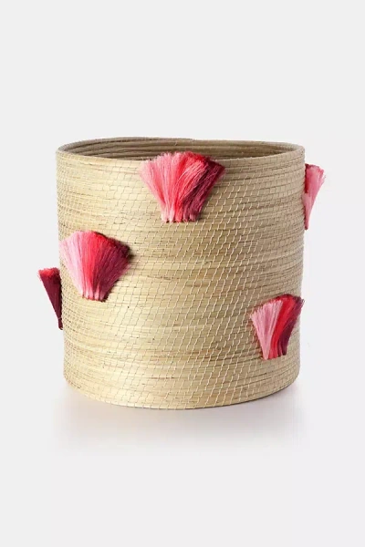Charlie Sprout Jumbo Fanned Out Planter In Pink