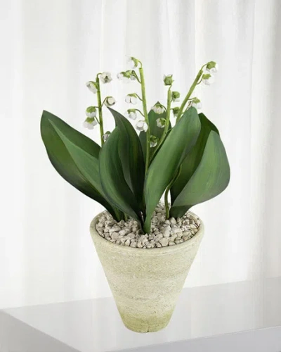 Charlotte Moss For Tommy Mitchell Lily Of The Valley May Birth Flower In White Terracotta Pot