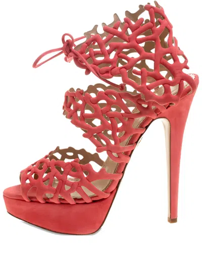 Pre-owned Charlotte Olympia 150mm Goodness Gracious Reef Sandals In Orange