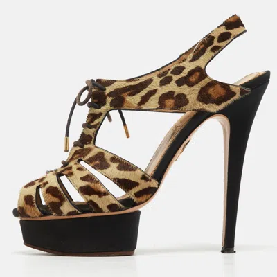 Pre-owned Charlotte Olympia Beige/brown Leopard Calf Hair Lace Up Platform Sandals Size 40