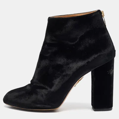 Charlotte Olympia Black Velvet Alba Ankle Boots