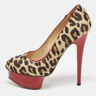 Pre-owned Charlotte Olympia Brown Leopard Print Calf Hair Polly Platform Pumps Size 38