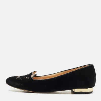 Charlotte Olympia Navy Blue Velvet Kitty Ballet Flats In Black