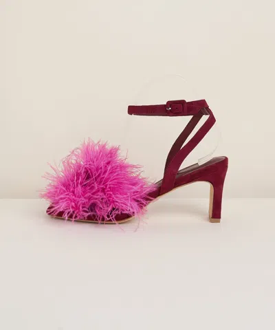 Charlotte Stone Calder In Carmine Carnation