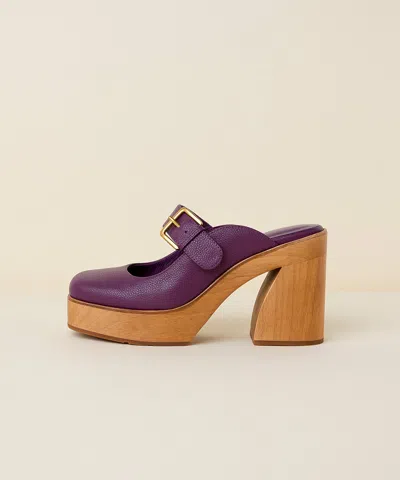 Charlotte Stone Charis In Purple